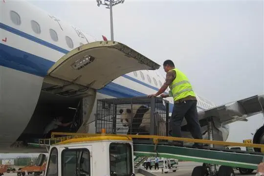 珠海空运宁波机场